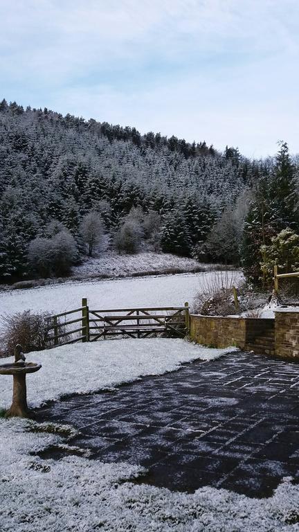 Middle Woodbatch B&B Bishop's Castle Exterior photo